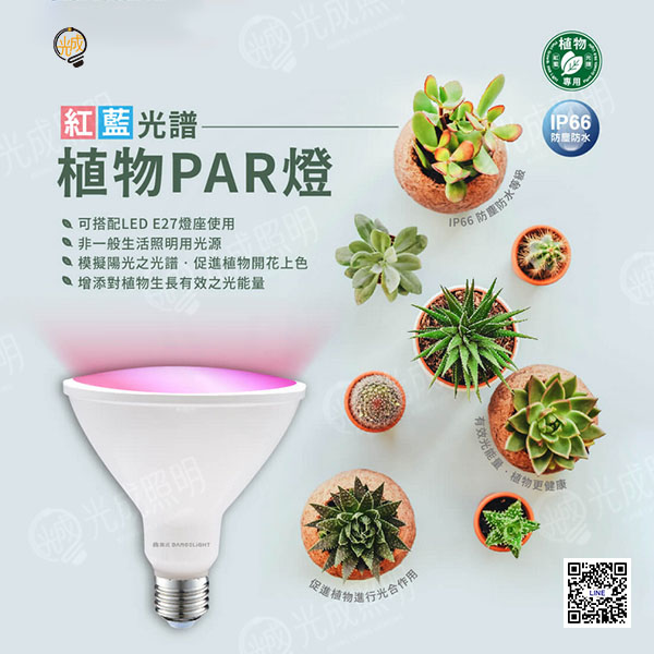 舞光 紅藍光譜植物PAR燈 24W