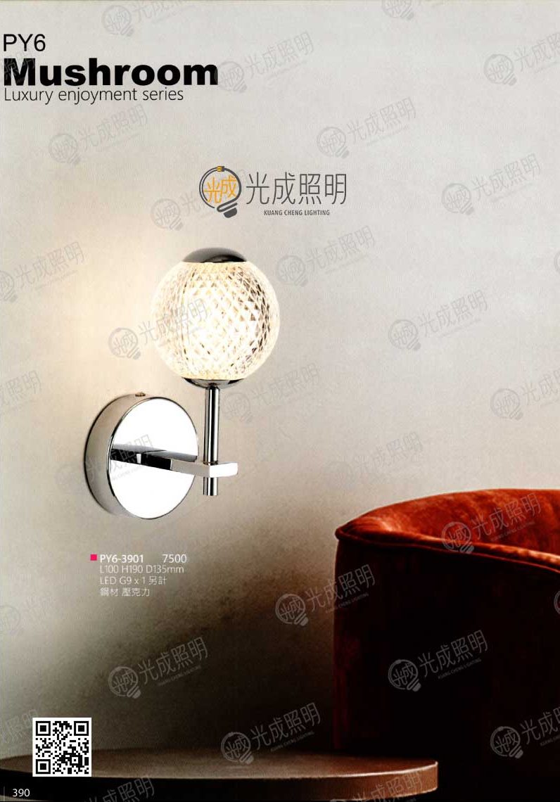 壁燈 PY6-3901
