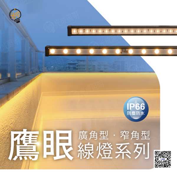舞光 鷹眼線燈系列 30公分/100公分