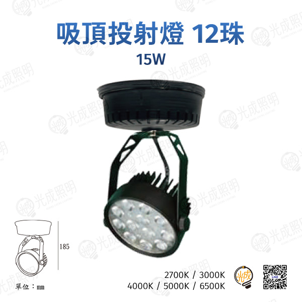 台灣製造 吸頂投射燈 12珠 15W (黑/白)