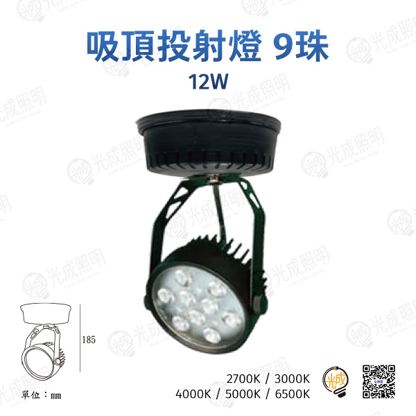 台灣製造 吸頂投射燈 9珠 12W (黑/白)