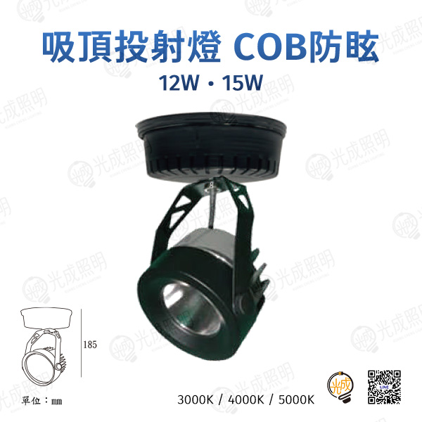 台灣製造 吸頂投射燈 COB防眩-1 12W/15W (黑/白)