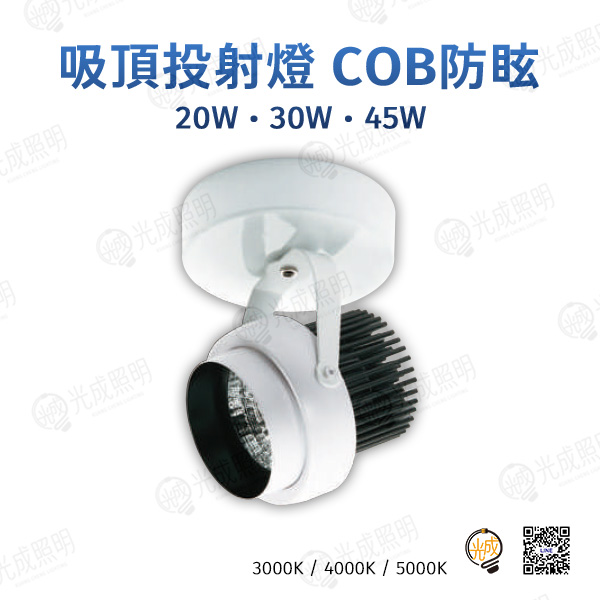 台灣製造 吸頂投射燈 COB防眩-3 20W/30W/45W (白/黑)
